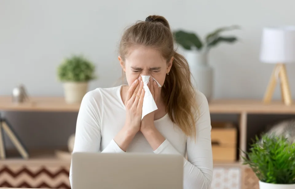 Ill young woman caught cold sneezing in tissue at home or in office, sick allergic girl blowing wiping running nose got flu rhinitis sinusitis coughing, having seasonal allergy symptoms at workplace